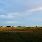 Lütt Lori